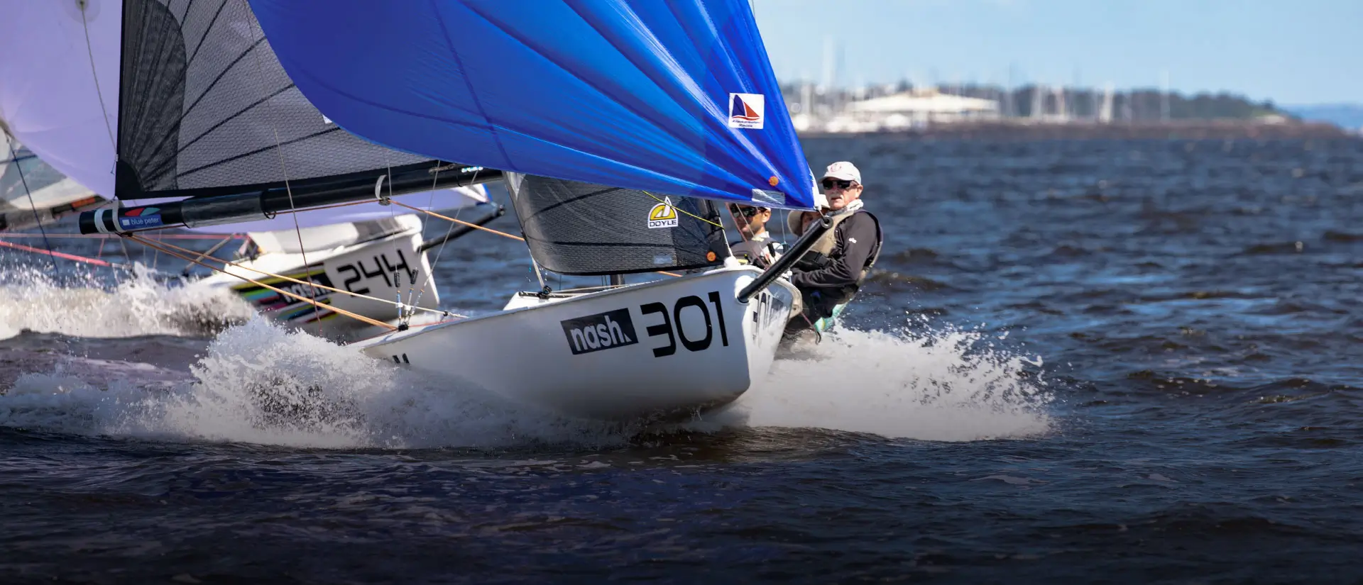 Sailboats racing on choppy water in New Zealand.