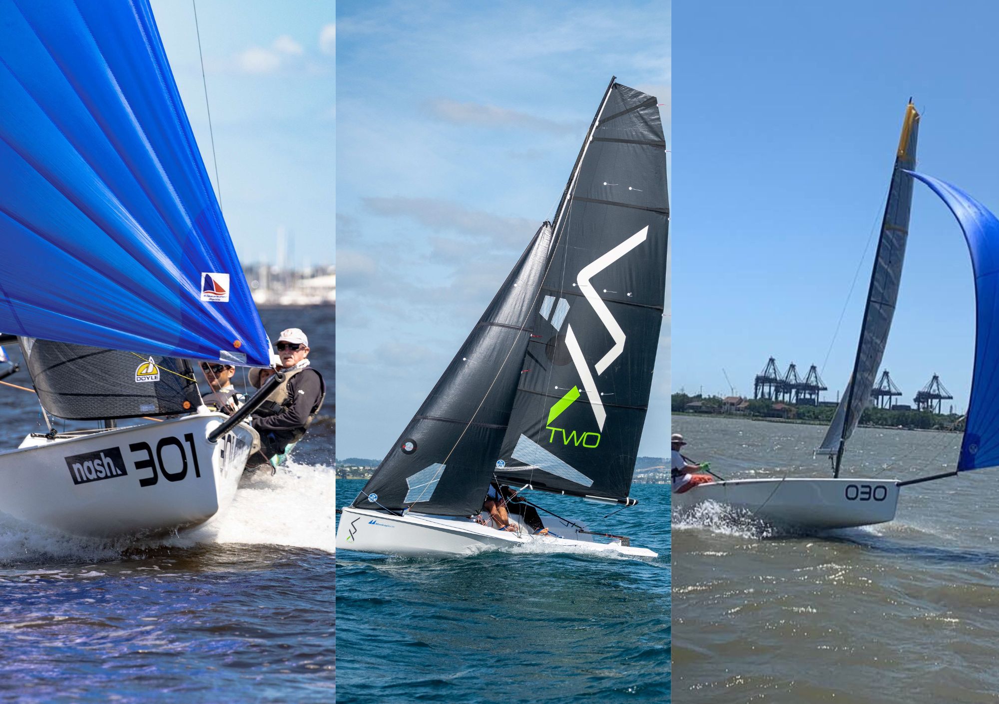 Sailboats racing on the water under blue skies